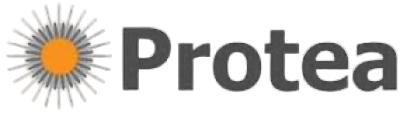 Protea